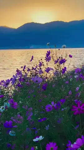 #Beautiful 