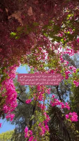 #صباح_الخير #صباحكم_سعادهـ🌸🍃 #صباحكم_أحلى_صباح🌹🌹 #اللهم_لك_الحمد_ولك_الشكر #اللهم_صل_وسلم_على_نبينا_محمد 