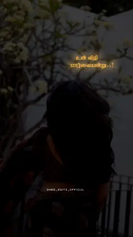 உன் விழி பார்வையன்று உன்னை விலை பேச கண்டேன் 🥰🫶 #tamilsongs #trending #whatsappstatus #fyp #dheeedit 