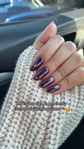 Fall nail inspo🥰 cherry chrome nails this autumn are 🔥🔥✨ #fallnailinspo #fallnailinspo2025 #cherrychromenails 