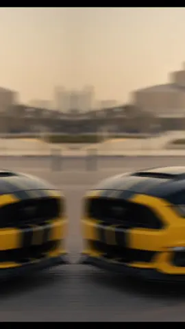 #الشعب_الصيني_ماله_حل😂😂 