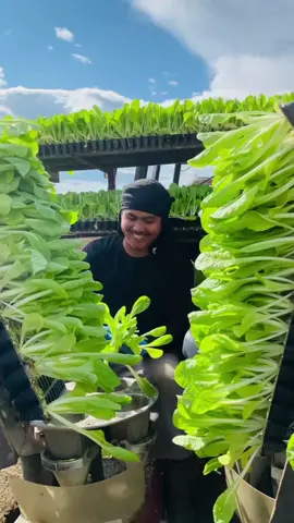 #quran  #alquran  #quran_alkarim  #quranrecitation  #recitationofquran 