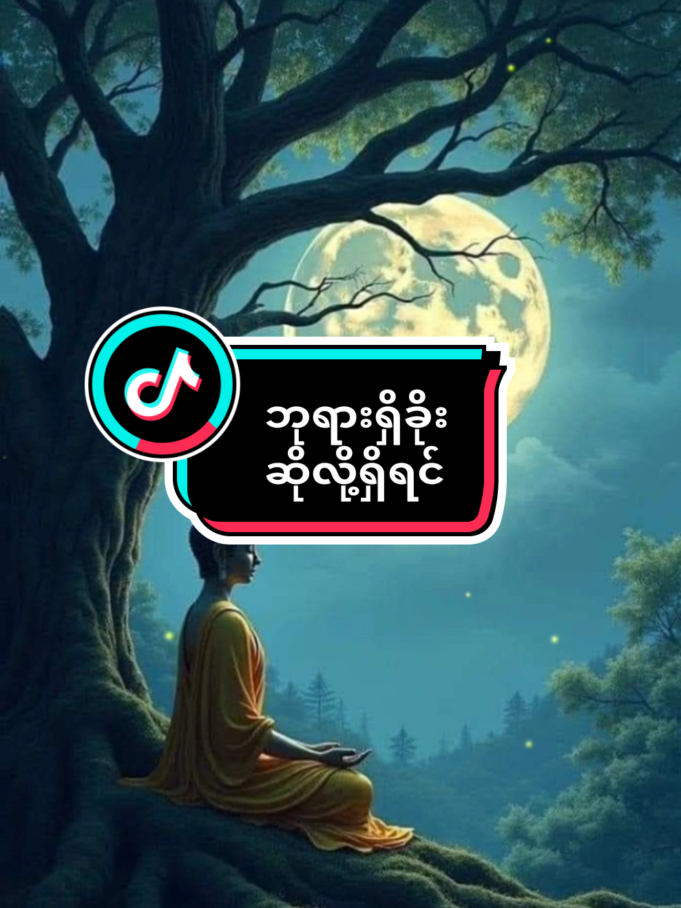 #ပါချုပ်ဆရာတော်ဘုရာကြီး🙏🙏🙏 #myanmar #tiktok #foryou #crd 