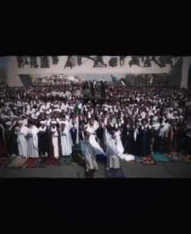 انصار الصدر#CapCut#انصار_الامام_المهدي #مقتدى_الوطن #مدينةالصدر #بغداد_بصرة_موصل_الكويت_الخليج_دبي_ 