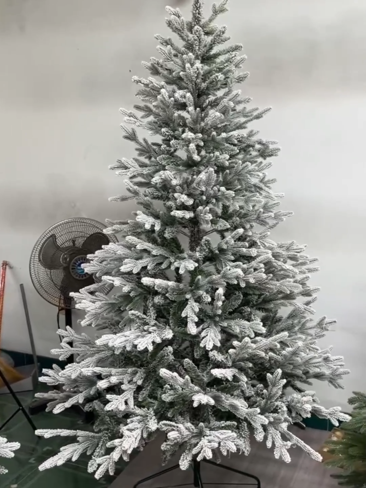 cây thông noel Lá PE phủ tuyết trang trí nhà hàng, công ty, khách sạn đầy đủ các kích cỡ #caythongnoel #noel #giangsinh #caythongnoelpe #caythongphutuyet