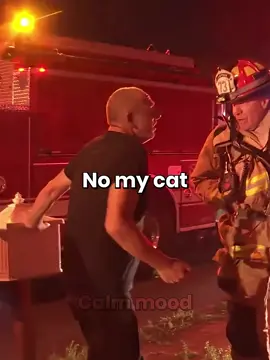 Firefighters rescue little cat❤️‍🩹 _hopecore