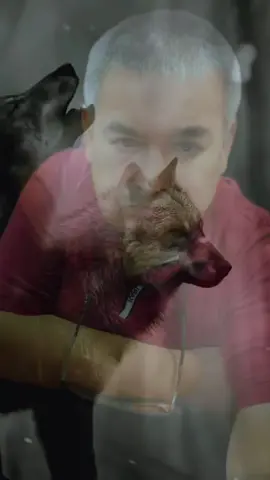 #fentysuperbrandday #The_Lone_Wolf #одинокийволк #LanguageLearning #ПростоЯ 