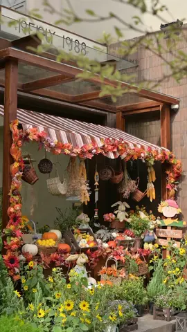 Ở một góc nhỏ Reply 1988, mùa thu Châu Âu đã kịp ghé thăm 🍂🍁 #reply1988 #decor #halloween  #halan8x #reviewdanang 