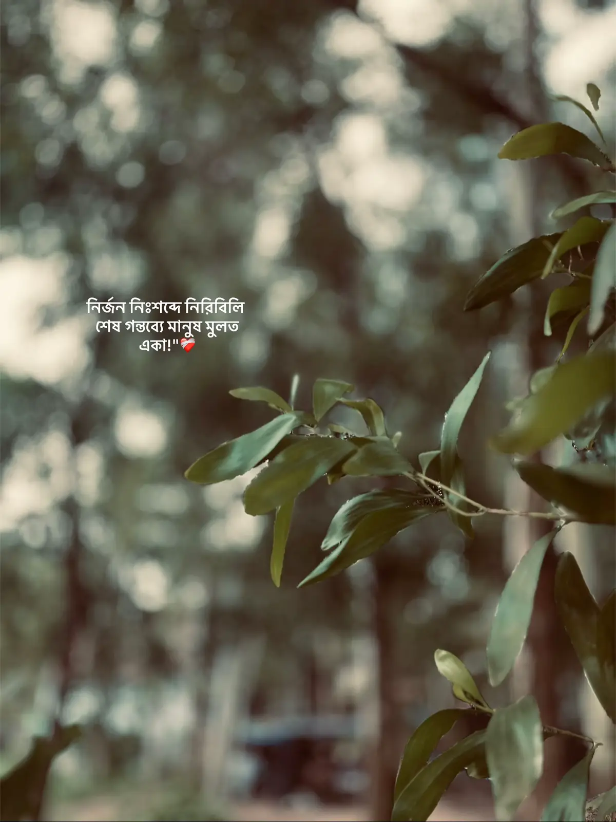 #outfit Cowok Berwarna#fyp #foryoupage 