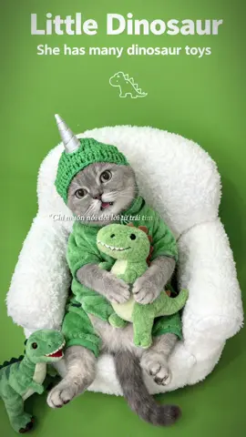 Yêu thì nói đi nhó @Voi iu ơi  #luomcat #chamsocmeo #luomcat68nguyenkhang #meocute 
