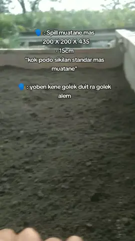 pesona 10ton