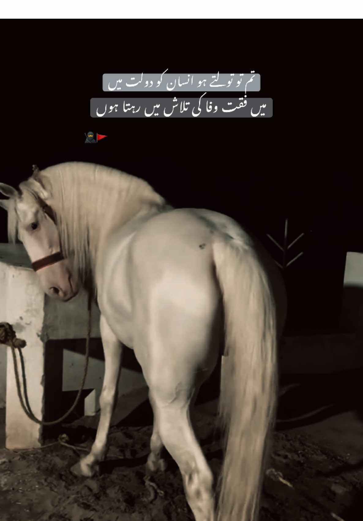 HAN G💀’ . . . #fyp #sultanwrite34 #viraltiktok #foryoupage #millionviews 