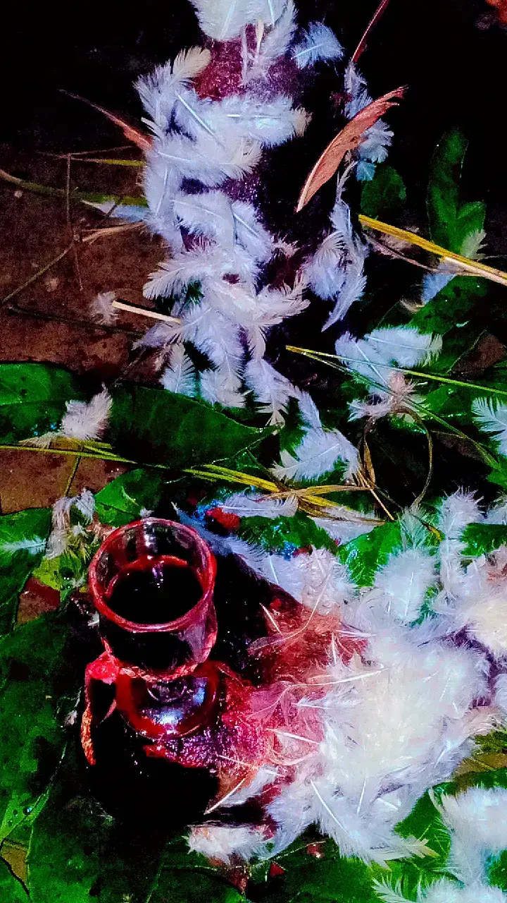 pour tout vos problème spirituel écrit moi