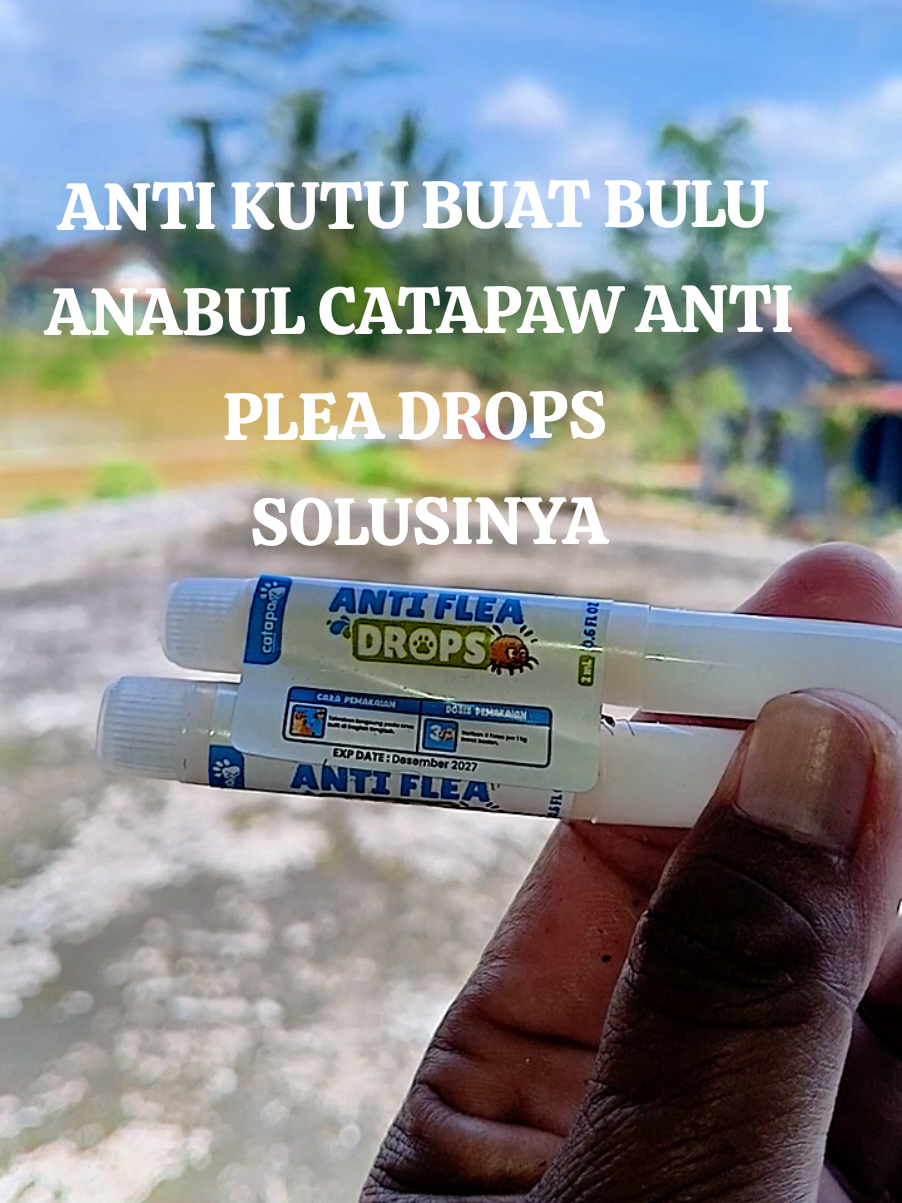 anti kutu flea DROPS untuk anabul kesayangan dari @Catapaw #teteskutukucing #semprotkutukucing #catapaw  #catapawofficial #anabul 
