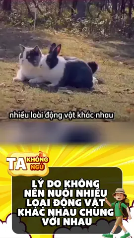 Đây là lý do tại sao không nên nuôi nhiều loại động vật khác nhau chung với nhau#giaitri #haihuoc #vuinhon 