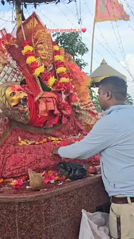 #जयपाथिभरादेविमाताकीजय्🔔🌹🙏 मोरङ सुन्दरहरेचा