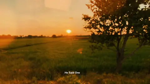 #trungthu2025 this song . #radio #thenights #capcutpioneer #pioneertemplate 