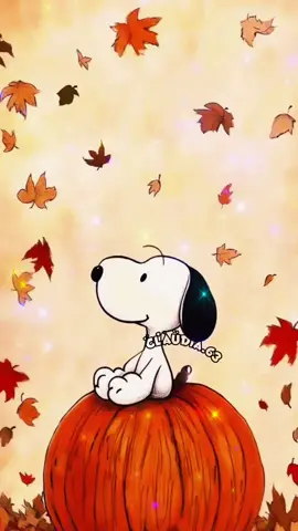 #buenosdias #parati #octubre #felizdia #lindodia #amanecer #findesemana #sabado 