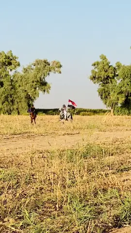 #الخيل #الخيل_العربي_الاصيل🐎 #خيل_وخياله🐎 #ماشاءالله_تبارك_الله_اذكروا_الله #صعدو_الفيديو 