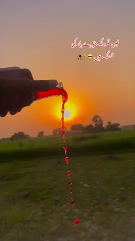 🌸🎋🌿ساڈا سوہنا پنڈ بدھوانہ ضلع جھنگ 🥀🌾🌻#جھنگ_والے_حاضری_لگواؤ۔۔۔۔۔ #سنگت_ویڈیو_وائرل_کریسو_آپ_ہیں🥀🌼🙈✨🎇 #fypシ゚viral🖤tiktok #plzunfrezemyaccount🙏 #plzunfrezemyaccount🙏🙏 
