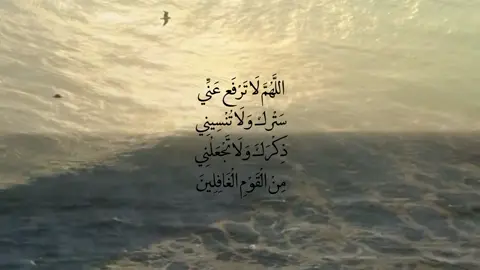 #قرآن #صدقة_جارية #دعاء #صدقه_جاريه_لجميع_اموات_المسلمين #سبحان_الله_وبحمده_سبحان_الله_العظيم 