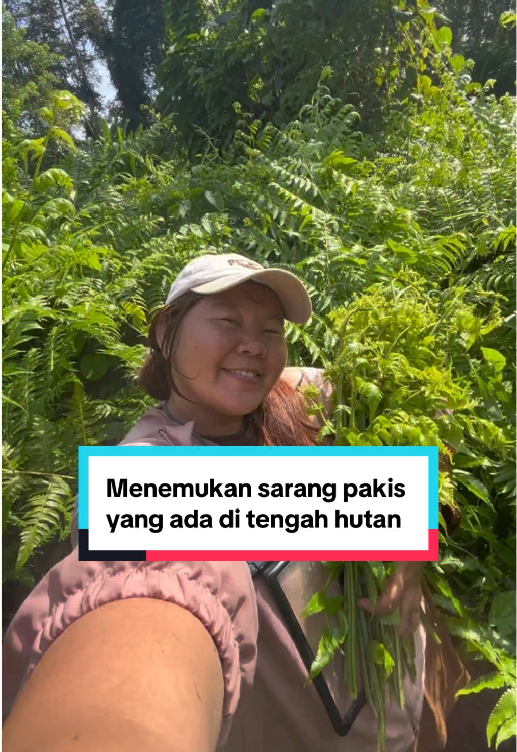 Menemukan sarang pakis yang ada di tengah hutan #mencarisayur #pakishijau #sayurpakis #hutankalimantan #anakkampung 