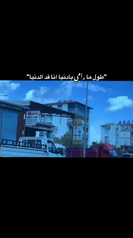 #الشعب_الصيني_ماله_حل😂😂 