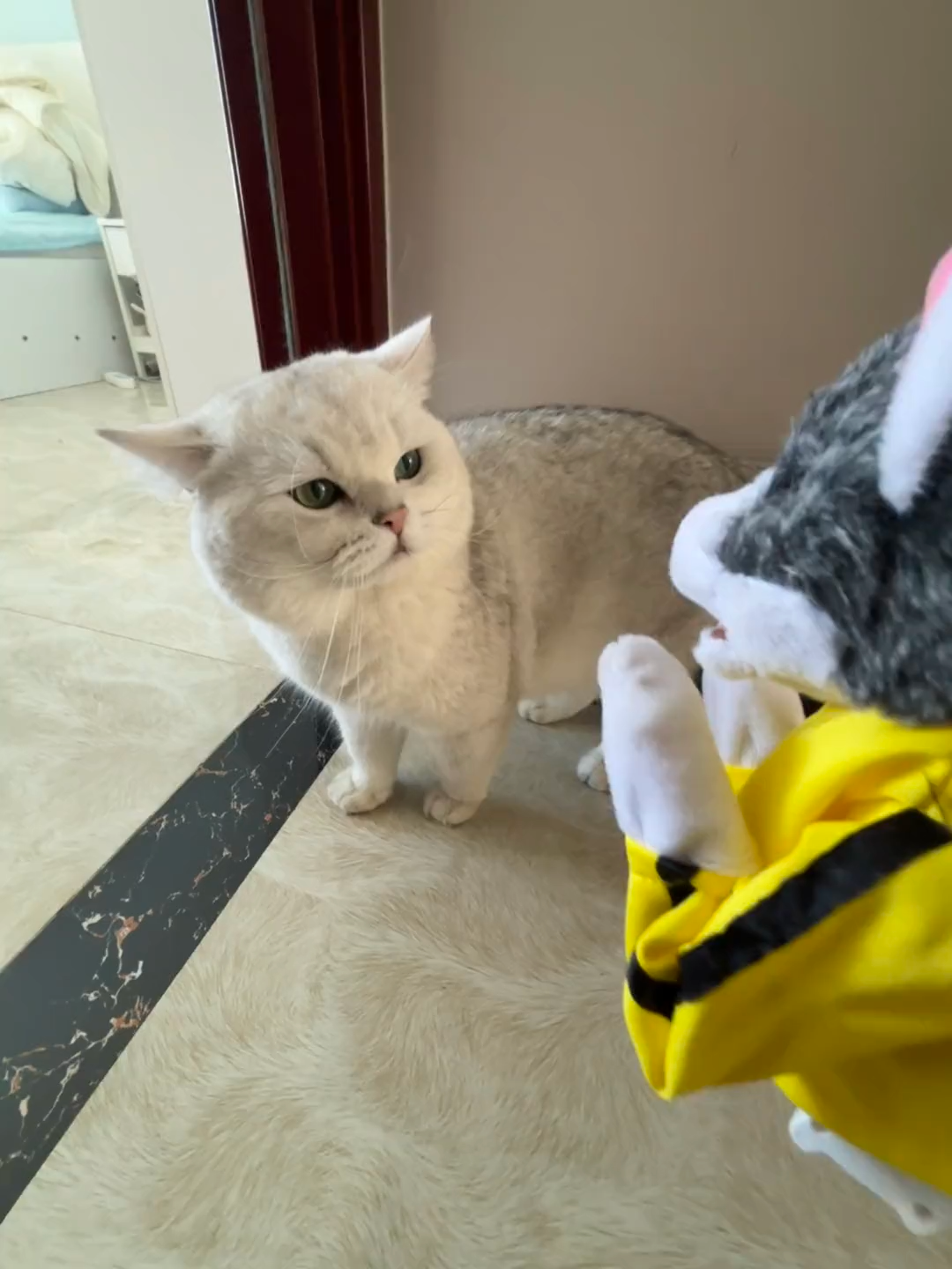 Meowww