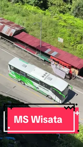 ❇️@MS Wisata “Seroja” melewati Flyover Kelok 9 di pagi hari #ayonaikbus #buspariwisata #bustraveler #busindonesia #busmania 