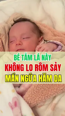 Loại lá tắm thảo dược giúp bé không lo rôm sảy mẩn ngứa da #thaikykhoemanh #tiktokviral #thaoduoc #latam #xuhuong 
