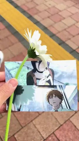 今日雨降って花と写真を置いてきた~#チェンソーマン #デンジ #デンジ #fyp #ガーベラ 