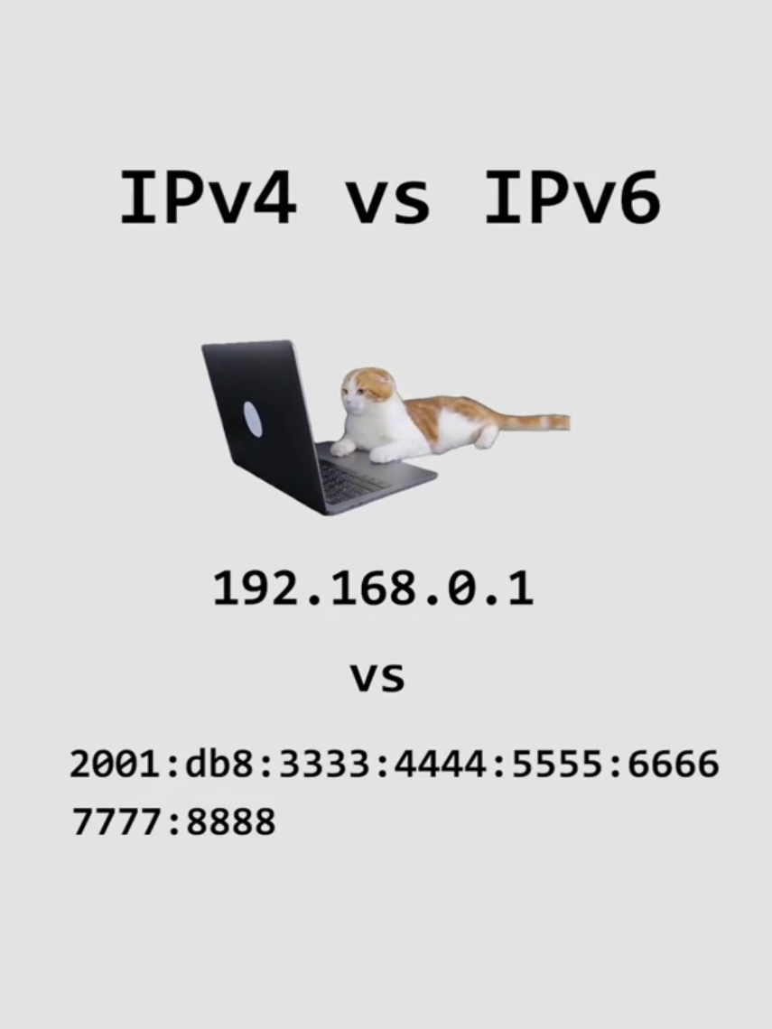 IPv4 vs IPv6, explained by cats. #ip #cat #software #internet #coding