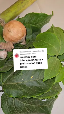 A responder a @paula.jasmine.beld #angola🇦🇴portugal🇵🇹brasil🇧🇷 #angola🇦🇴portugal🇵🇹brasil🇧🇷 