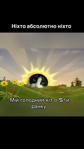 #моядуша #мійвсесвіт💕 #мойхвостик #тімошакотик#Тімофійнаталійович