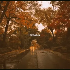 We fell in love in October 🍁🍂 #wlw #girlinred #wefellinloveinoctober #lyrics #aesthetic 