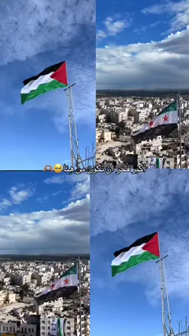 يارب كون مع اهلنا في فلسطين 🇵🇸✌🏻#فلسطين_حره💔🥺 #غزه #يارب❤️ #سوريا_فلسطين#واحد 
