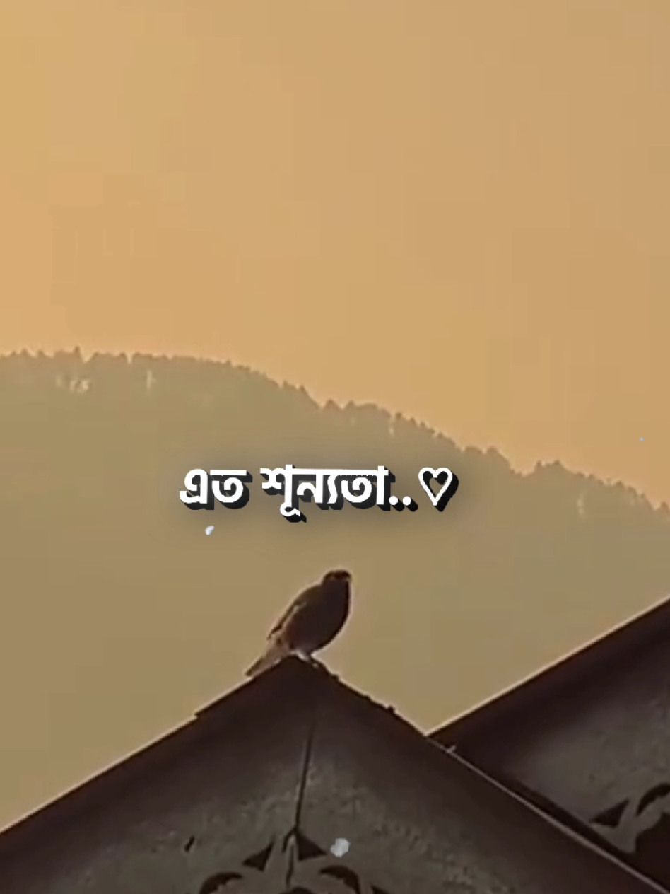 এ একাকী মনের স্থিরতা তুমি 🙂❤️‍🩹 . #lyrics_sabbir2_0 #lyrics #fyp #viral #banglastatus @TikTok 