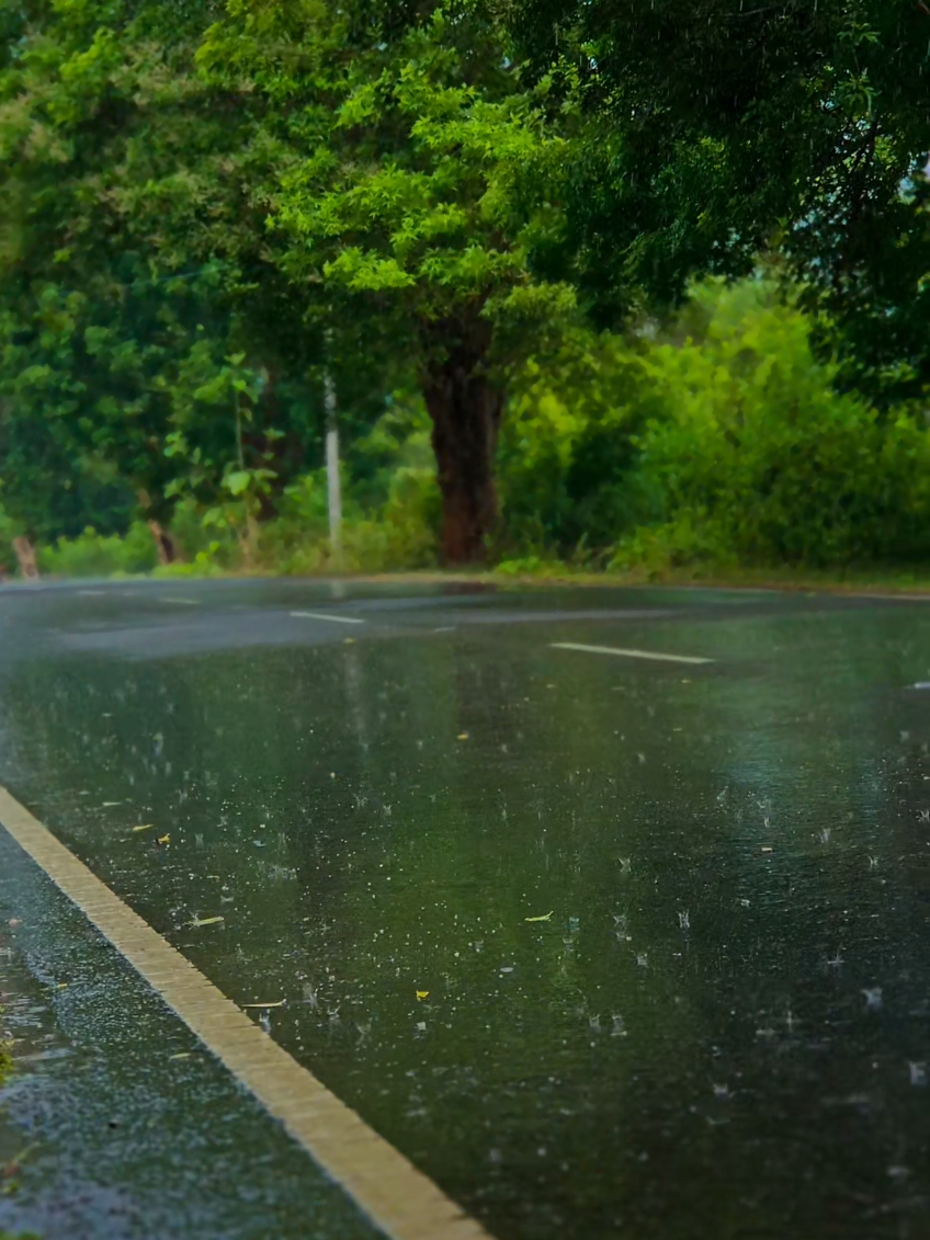 💚🌧Beauty of Rain 🌧💚 #1million #repost #natural #onthisday #tending @♥️💕Love Of My Life 💕♥️6💕5♥️ 