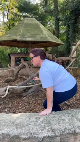 Ma mère est hilarante, je ne veux rien savoir 😂 #trendslab #maman #zoo 