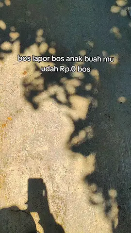 bos kasbon bos