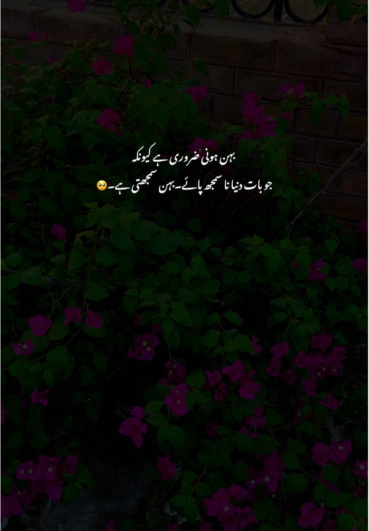 Beshak🫶🥺#grow #poetry #fyp #viralvideos #aestheticvideos 