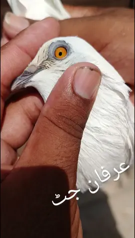 #foryou #❣️❣️❣️ 