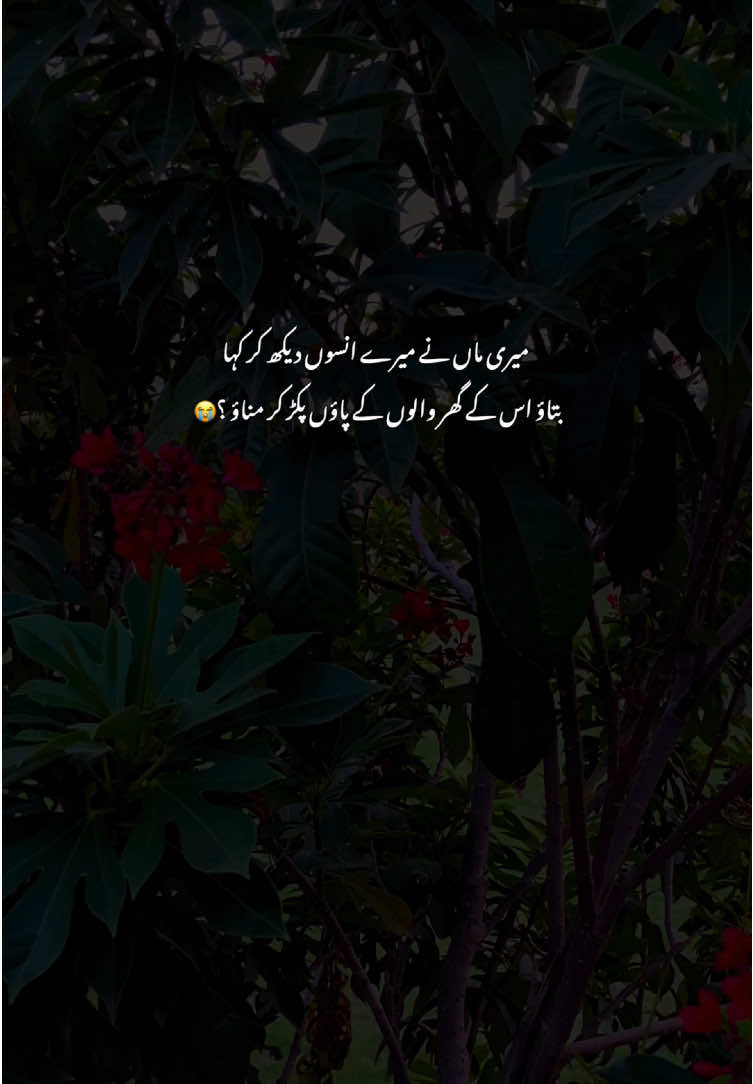Hyeee Maa to fr Maa hote hai😭#grow #poetry #fyp #viralvideos #aestheticvideos 