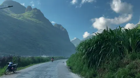 Mèo vạc #chuyenvungcao #hagiang 