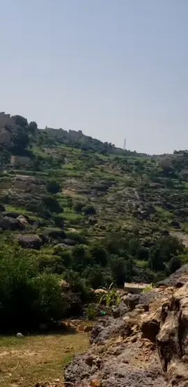 الجبجبةوالجازعة 