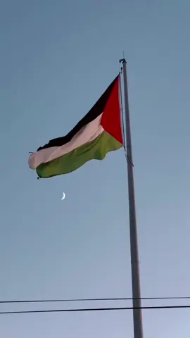الحمدلله أنتهت الحرب علي أهلنا في غزة 🇵🇸🇵🇸 #فلسطين #فلسطين_حره #الحمدلله_دائماً_وابداً💚🌧️🤲 #غزة_العزة🇵🇸 #اخبار_فلسطين_الان 