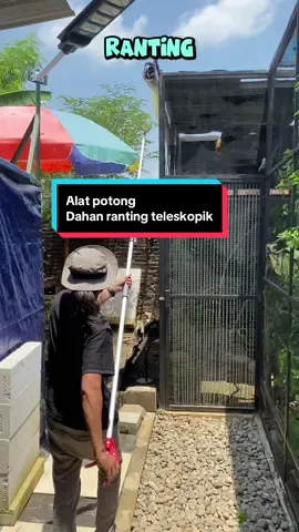 Alat potong dahan ranting teleskopik #gunting #gergaji #dahan #renosteelshop #bonsai 