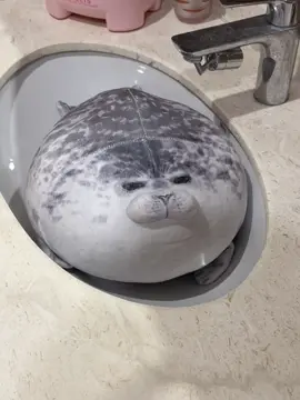 アザラシぬいの“沐浴体験”をご覧ください🛁🫧 #ぬいぐるみケア #アザラシ #癒し動画 #ぬい活 #洗うだけ動画