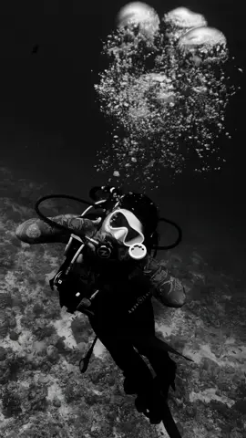 Forever returning, forever in awe.🩵 #maldives #fyp 