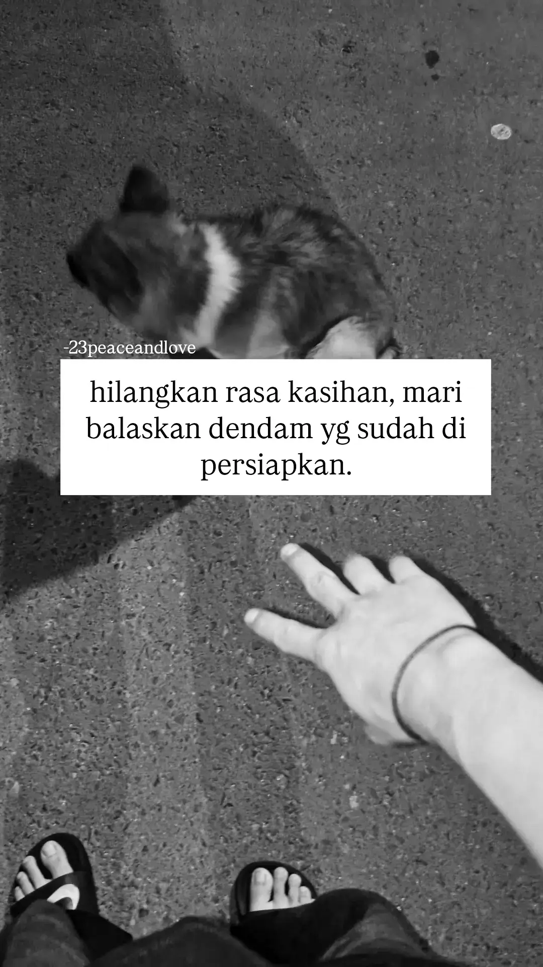 #23peaceandlove #storyesbastard #foryou #masukberanda 
